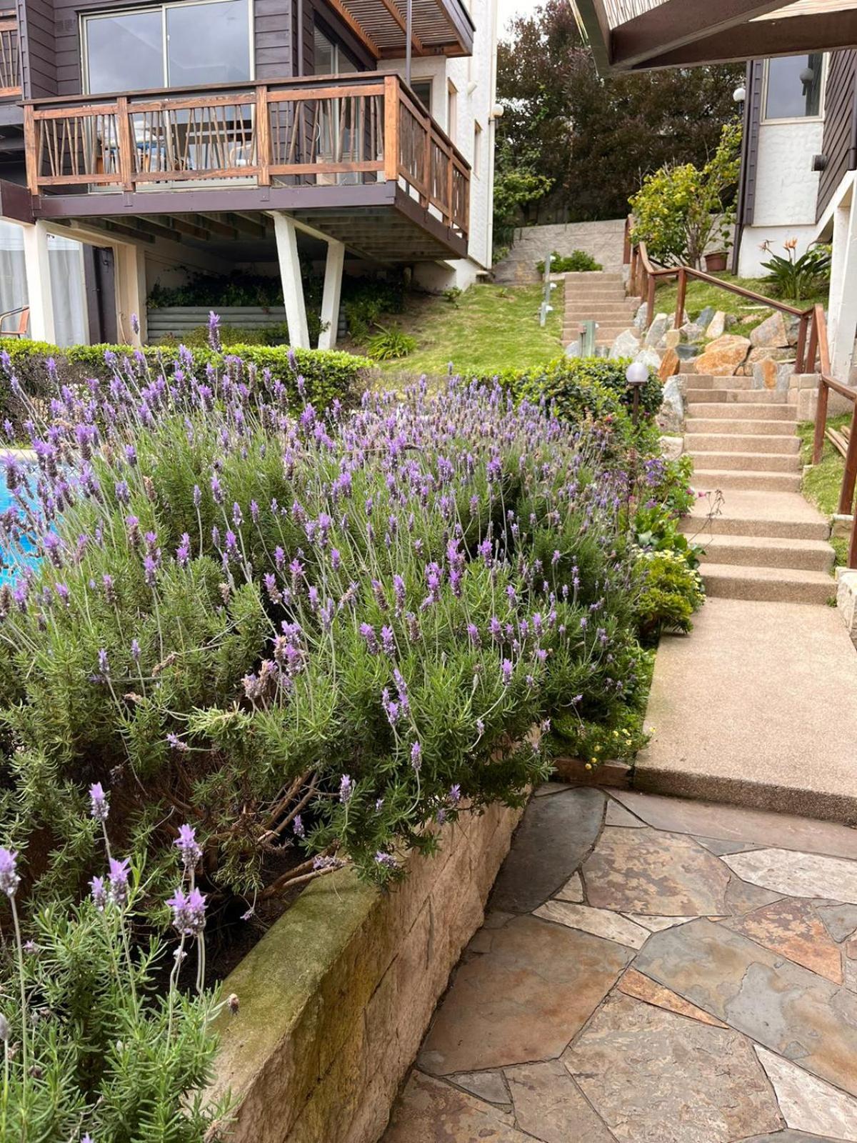 Blumen Hotel Concón Zewnętrze zdjęcie