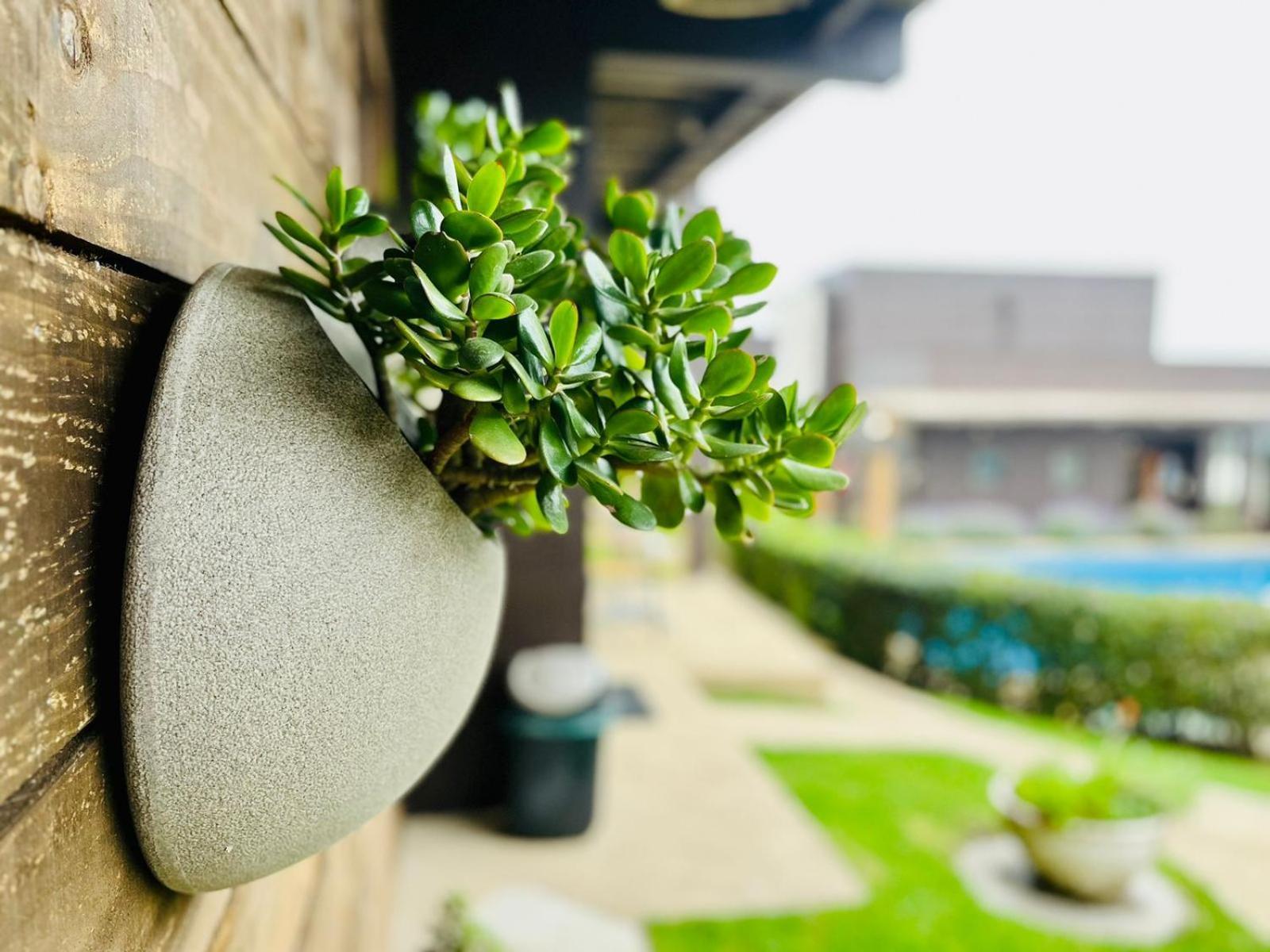 Blumen Hotel Concón Zewnętrze zdjęcie